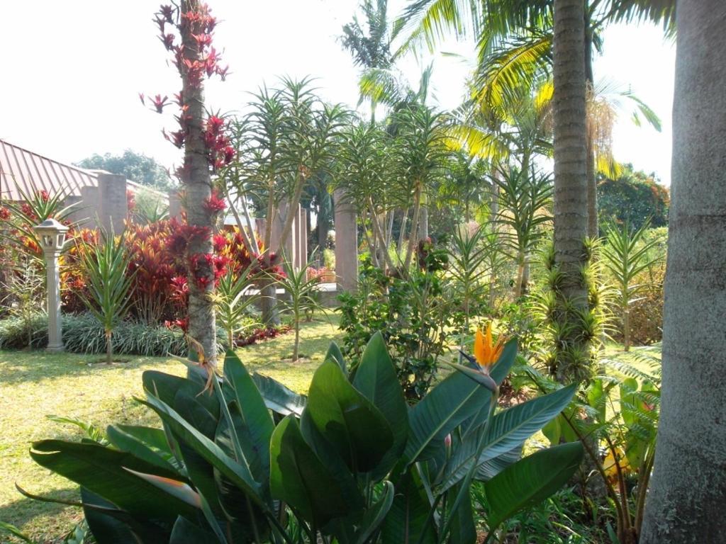 Ku De Ta B&B White River Luaran gambar