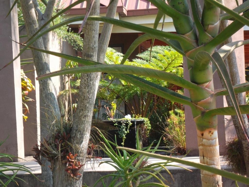 Ku De Ta B&B White River Luaran gambar